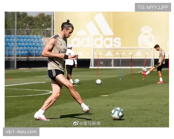 纳乔技术全面性